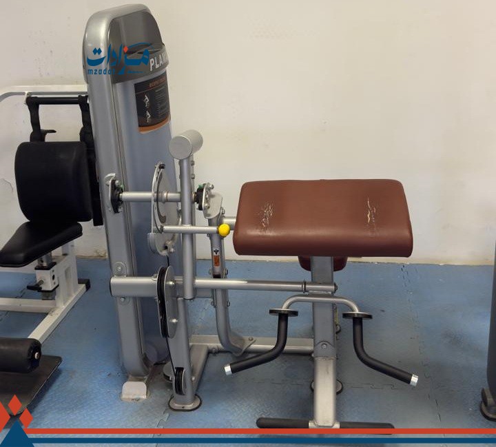 6- Workout Benches (4) + Biceps Machine + Abdominal Machine + Exercise Bench